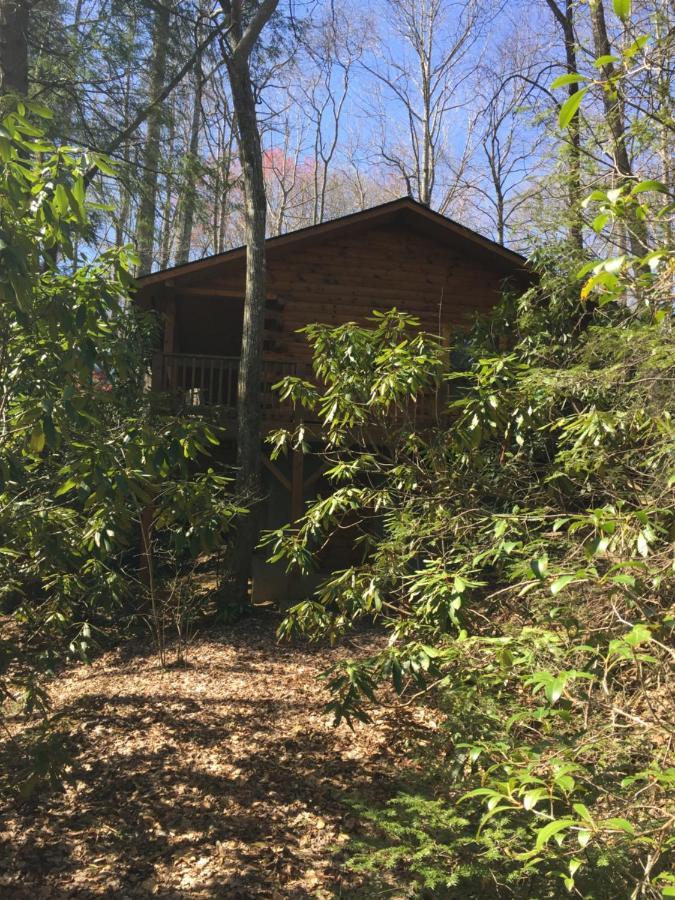Misty Creek Log Cabins Maggie Valley Luaran gambar